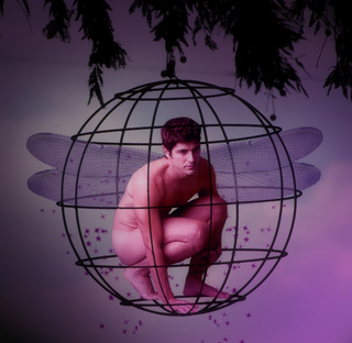 Illustration for article titled Boy Faeries
